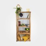 Sakai Teak Branch Book Case